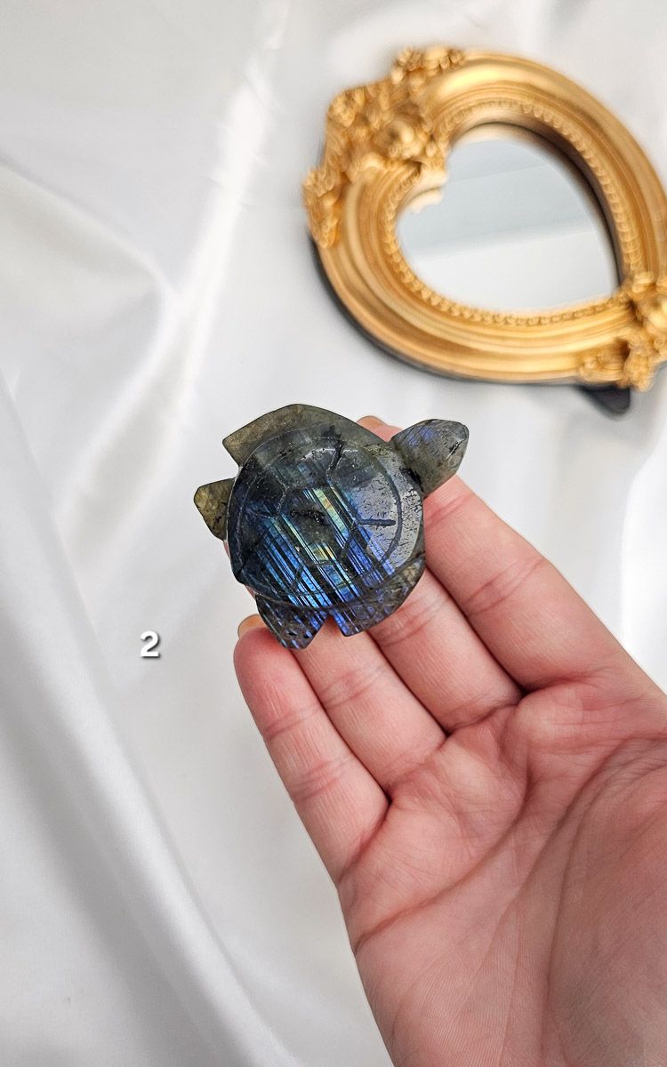 Labradorite Turtle n.2
