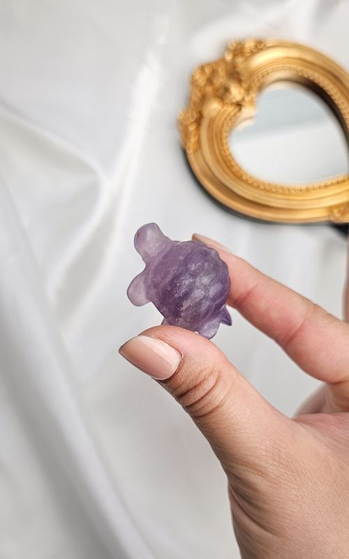 Purple Fluorite Turtle