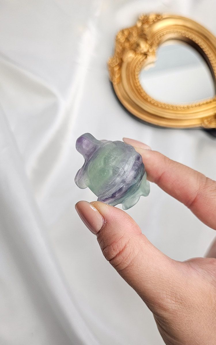 Rainbow Fluorite Turtle