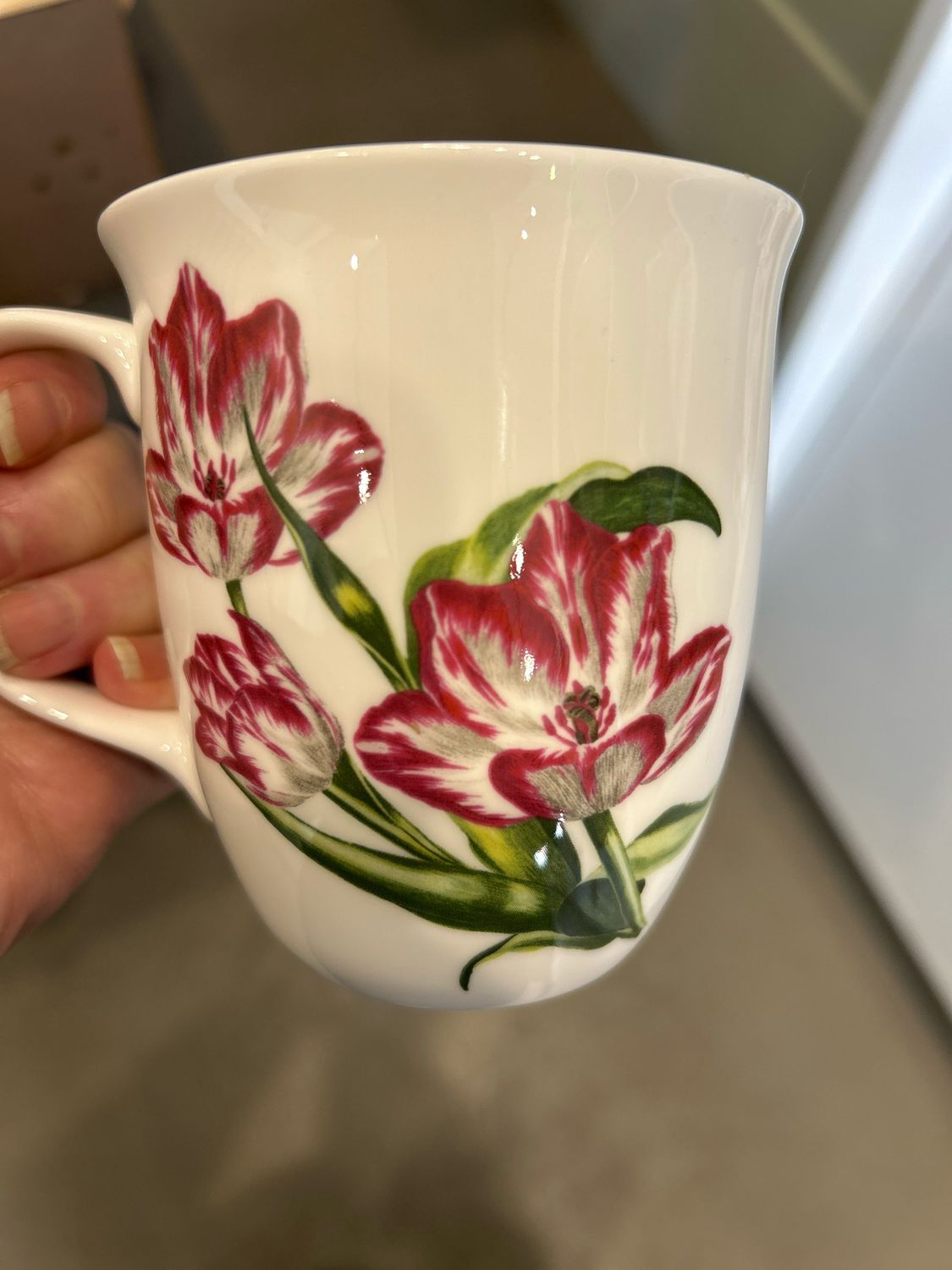 McIntosh Blooming Tulips