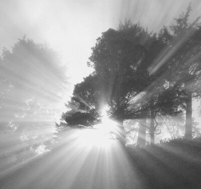 Spiritual Direction Deepening and Renewal Spiritual Direction Deepening and Renewal