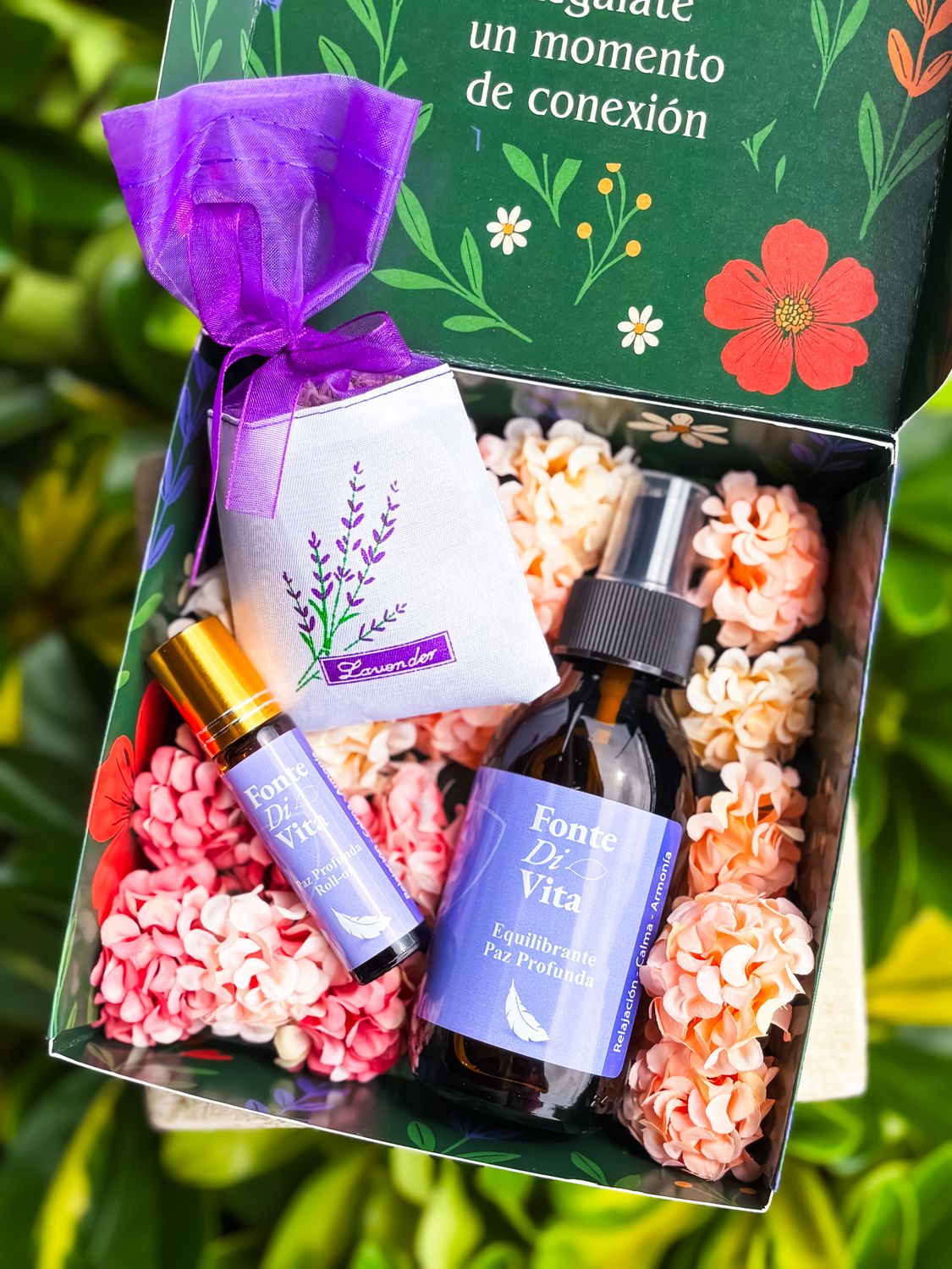 Kit Paz Profunda