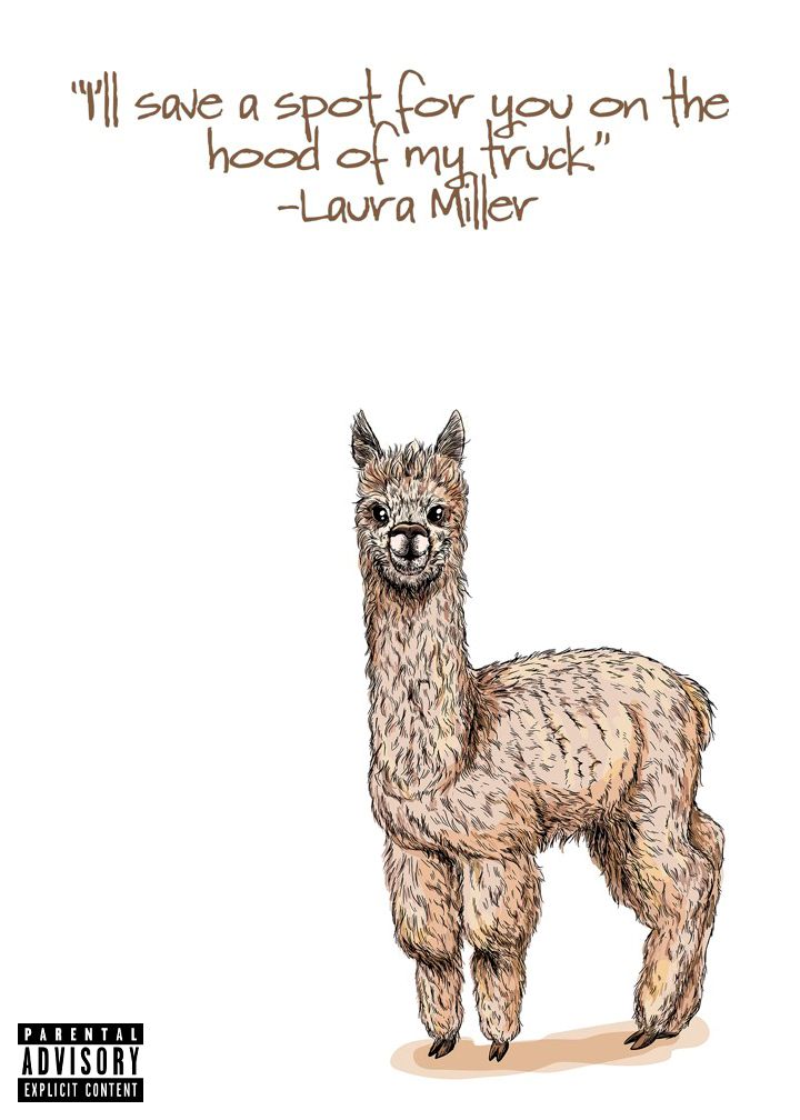 Llama Explicit Card