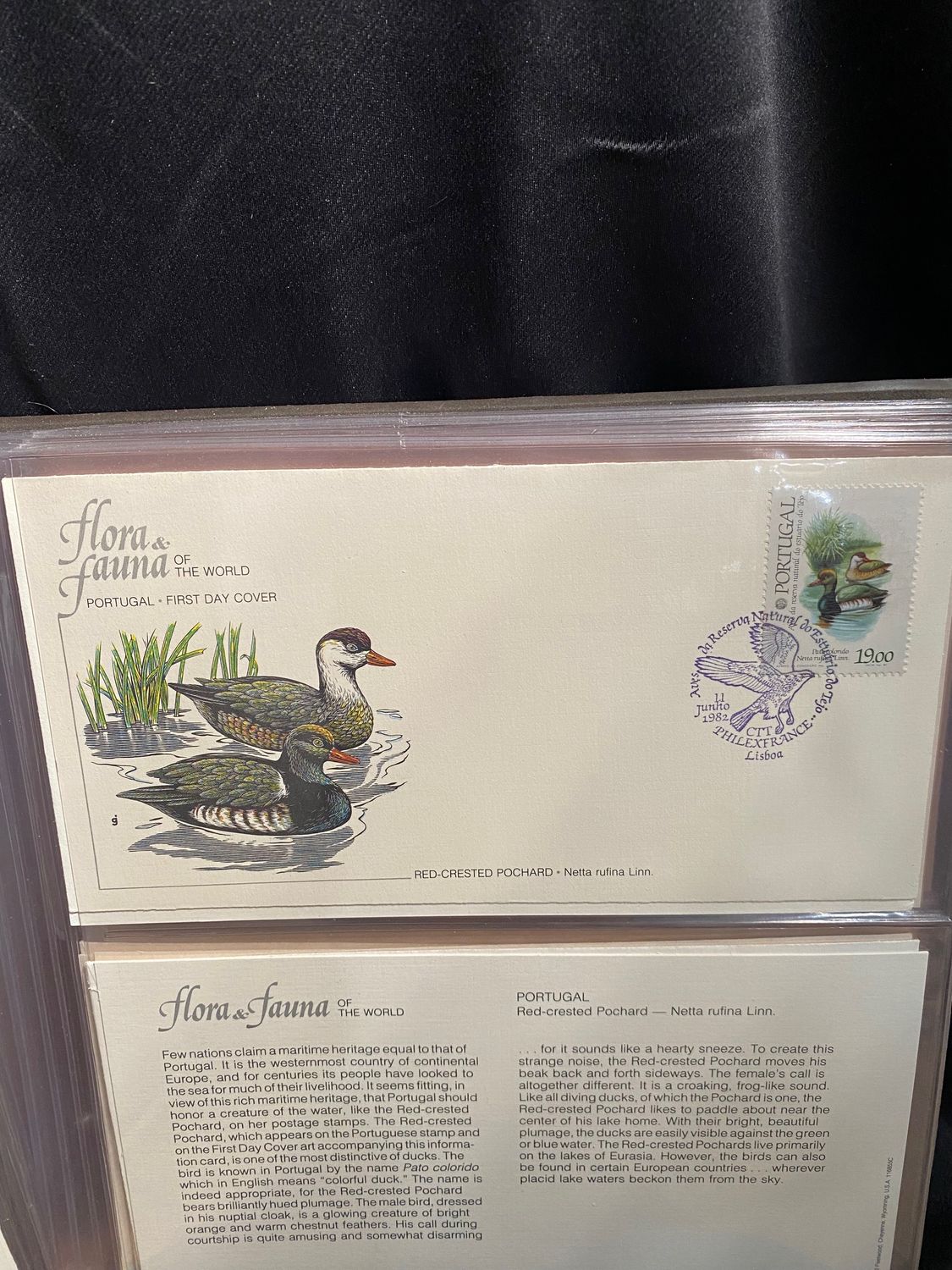Flora &amp; Flora Of The World Stamps