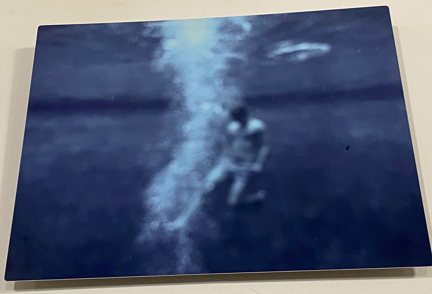 Plunged (11x14 Metal Print) Kurtis