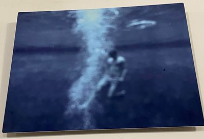Plunged (11x14 Metal Print) Kurtis