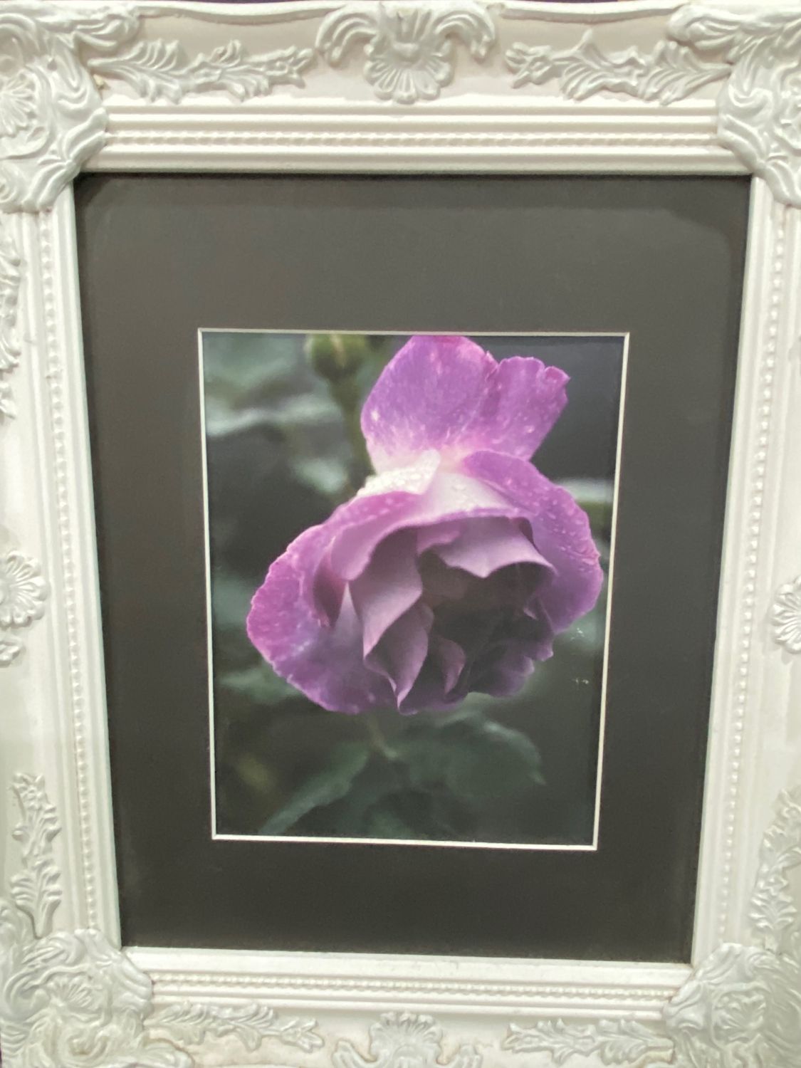 Purple Haze (8x10 Framed) Lee