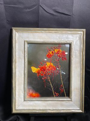 Day Tripping (11x14 Framed)