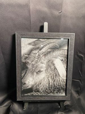 The Goat (8x10 Framed)