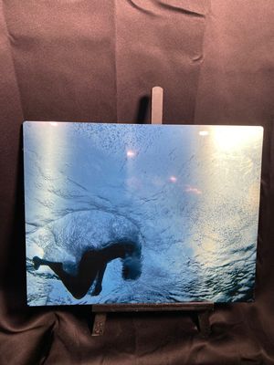 Cleansed (11x14 Metal Panel Print) Kurtis