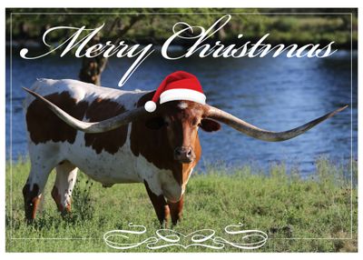 Hill Country Christmas Series (Longhorn)