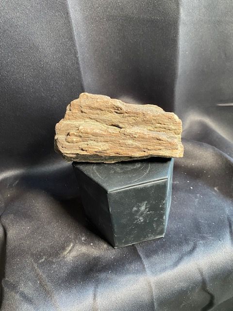 Hill Country Petrified wood piece