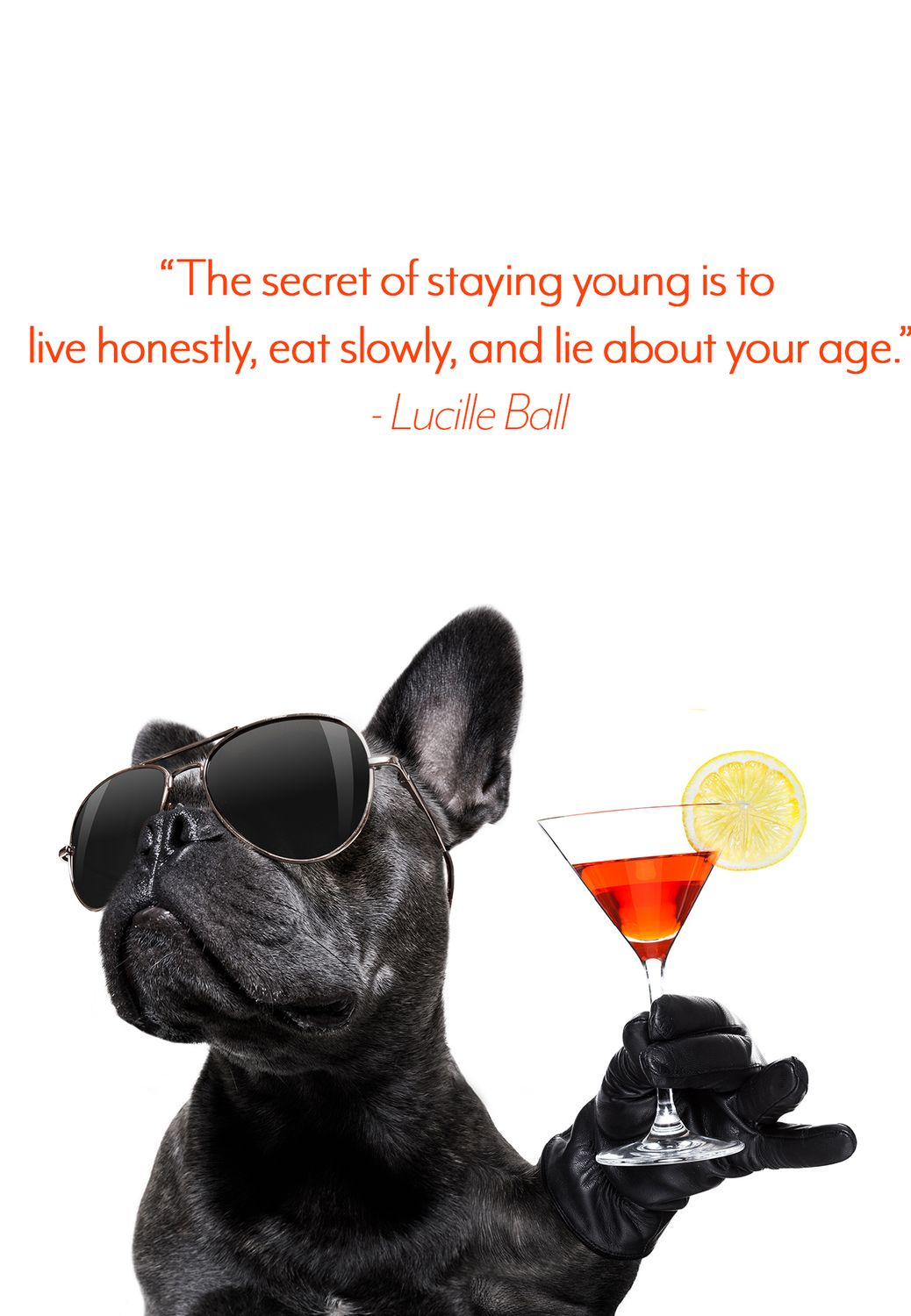 Dog Toast Birthday Card