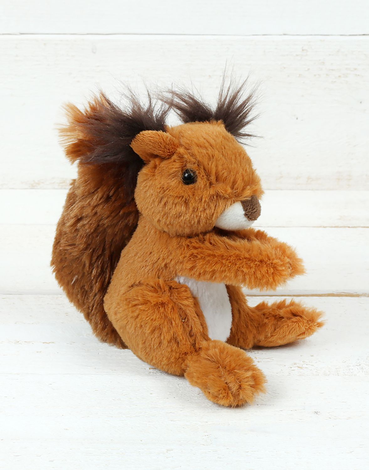 Squirrel