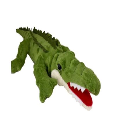 Crocodile
