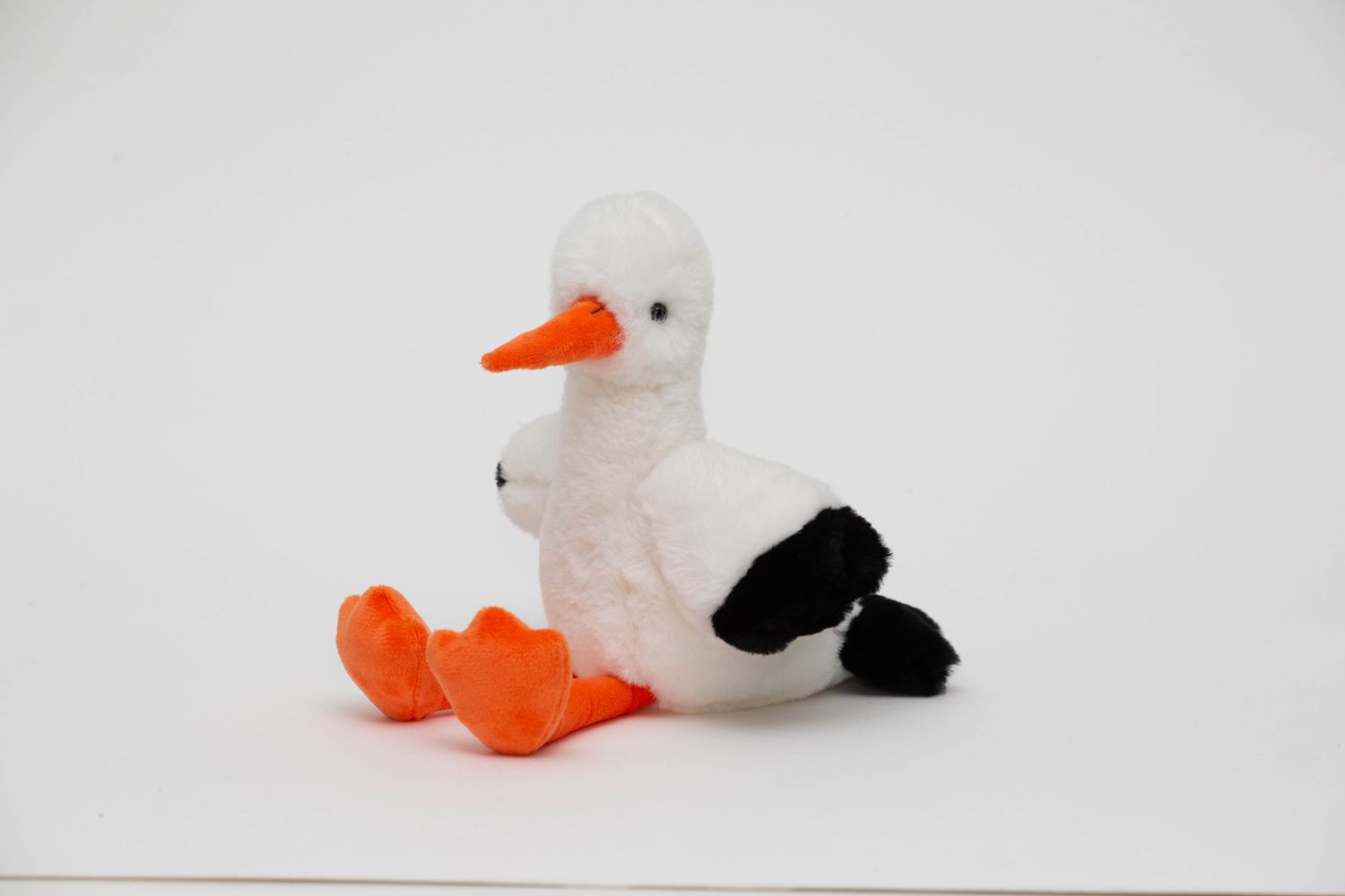 Stork