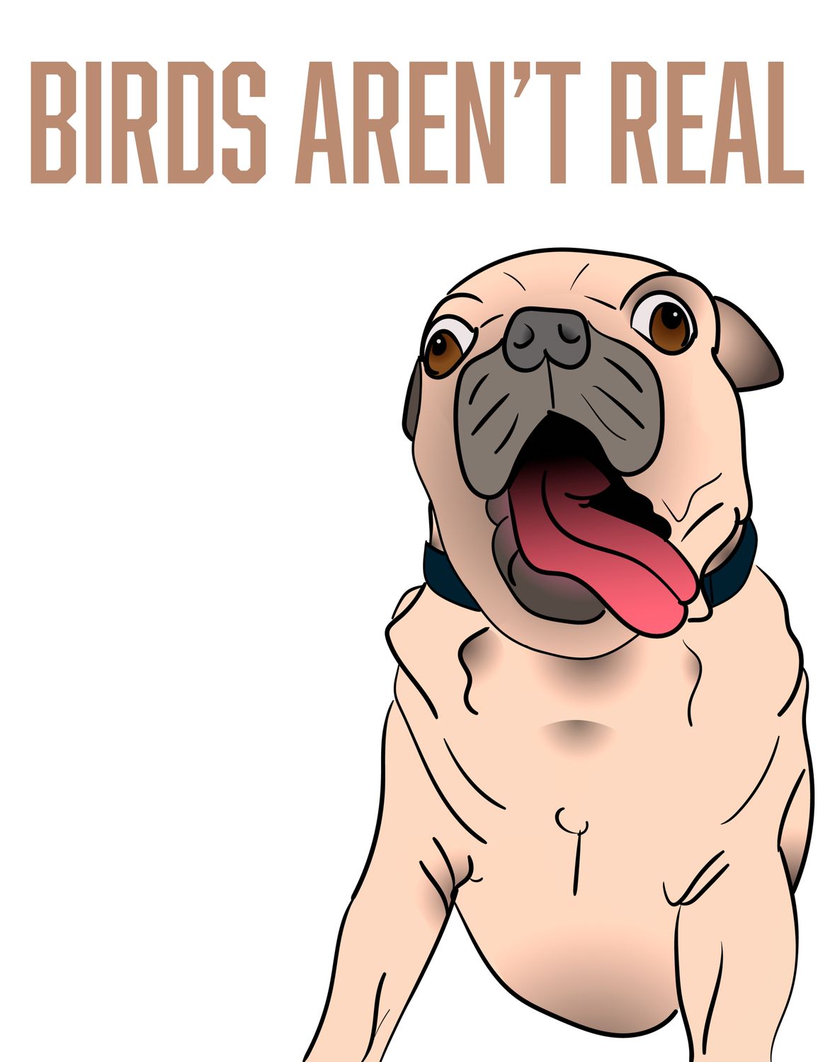Birds aren&#39;t Real Poster