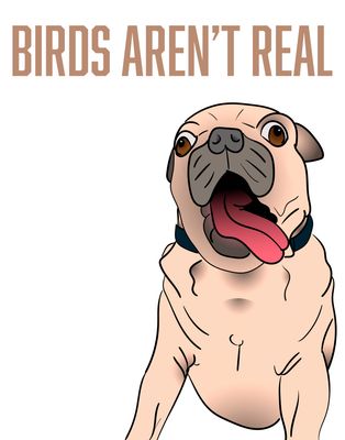 Birds aren&#39;t Real Poster