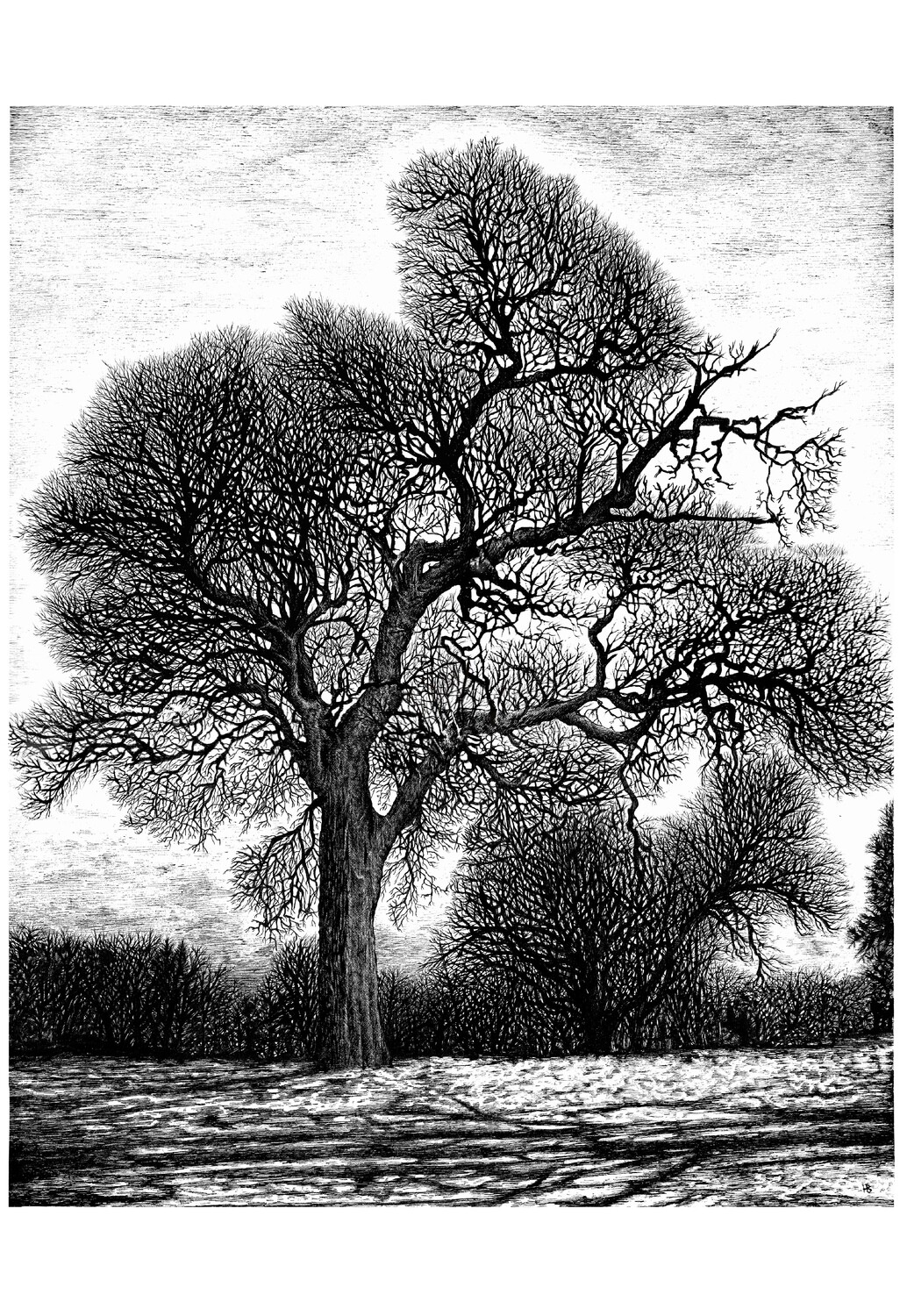 Winter tree PRINT