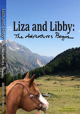 Book 1: Liza and Libby: The Adventures Begin, paperback (free shipping)