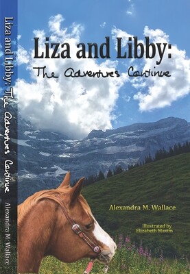 Book 2: Liza and Libby: The Adventures Continue, paperback (free shipping)