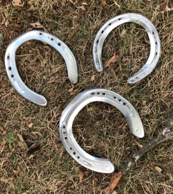 Silver painted horseshoes from Libby's friends (free shipping)