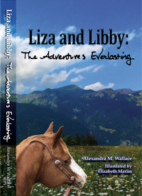 Book 3: Liza and Libby: The Adventures Everlasting, paperback (free shipping)