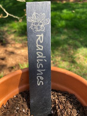 Slate Plant Tag RADISHES 7.5