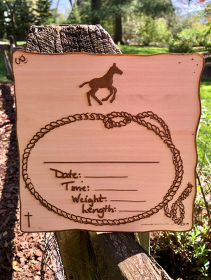 Baby Announcement Sign