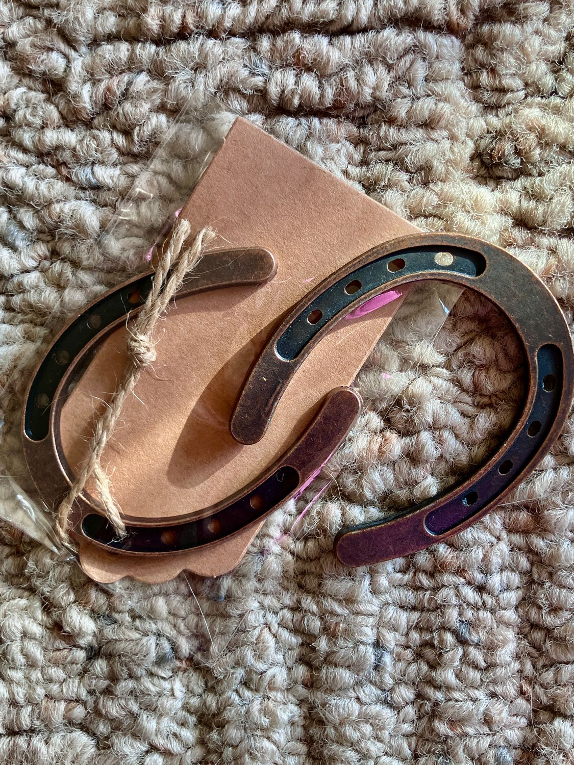 Book 1: Liza and Libby: The Adventures Begin, paperback MINI HORSESHOE (free shipping)