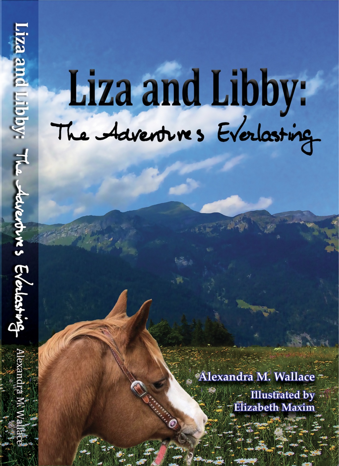 Book 3: Liza and Libby: The Adventures Everlasting, paperback QTY DISCOUNTS (free shipping)