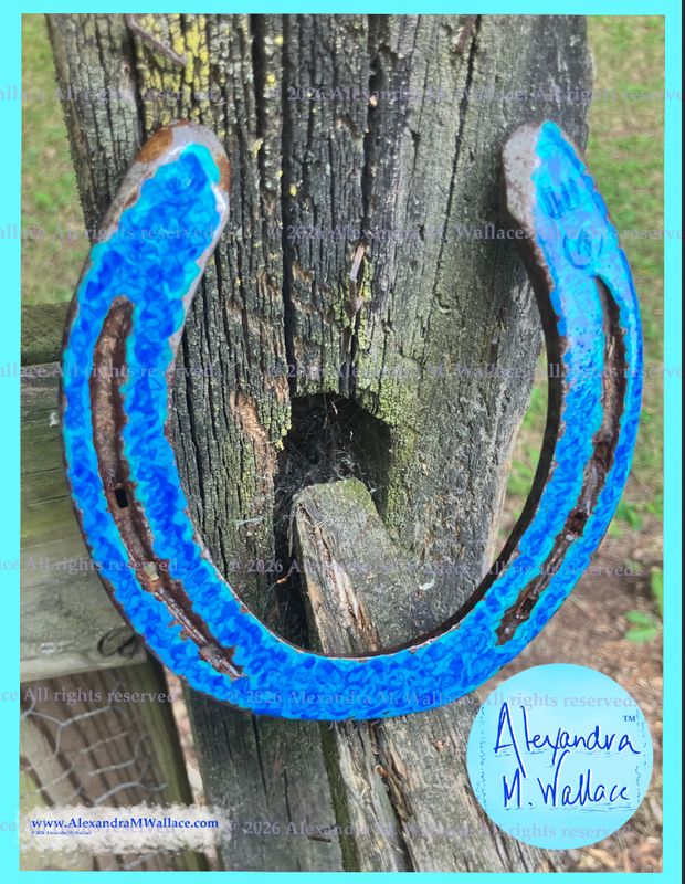 Blue swirls and shades of blue hand-painted horseshoes from Libby's friends (free shipping)