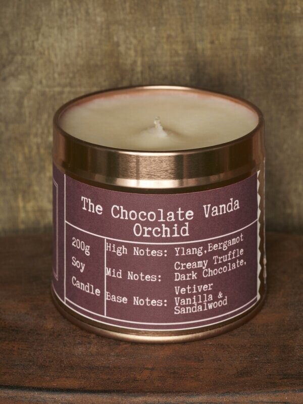 The Chocolate Vanda Orchid