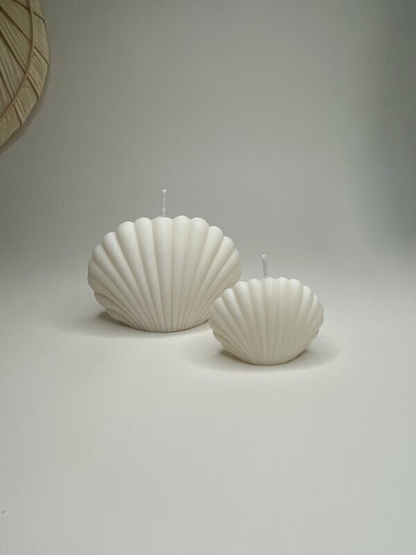 Seashell set