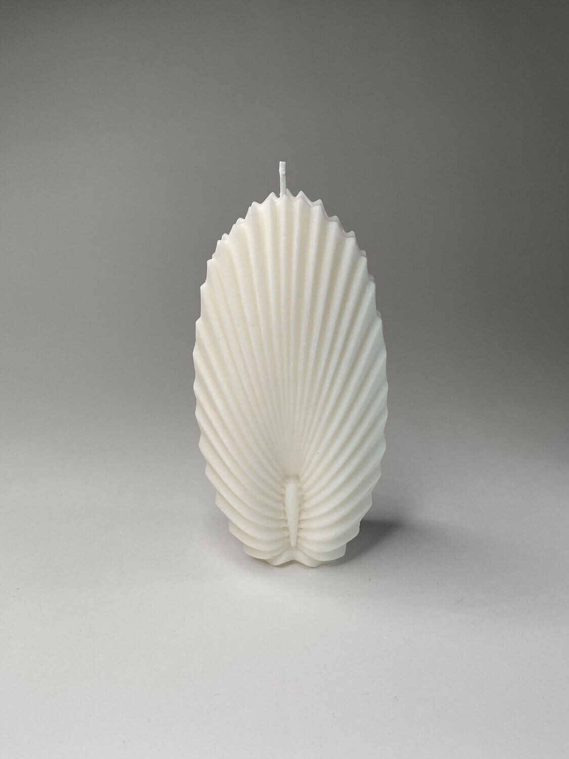 Long shell
