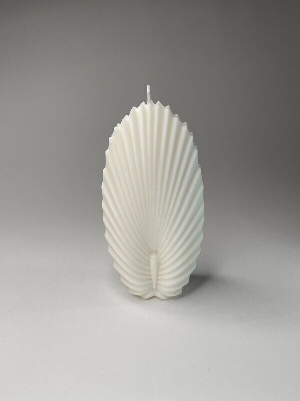 Long shell