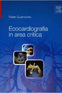 Fabio Guarracino, Ecocardiografia in area critica