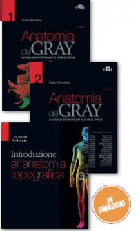 Standring – Anatomia Del Gray ( 41a Edizione )