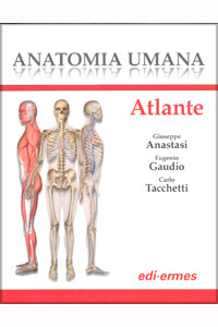 Anastasi, Gaudio, Tacchetti - Anatomia Umana - Atlante