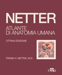 Netter - Atlante di Anatomia Umana 2022 - Copertina Morbida