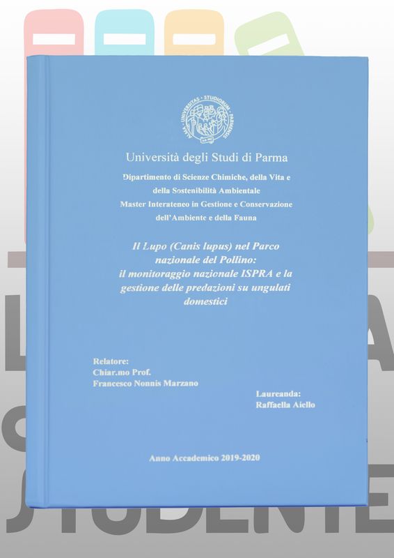 Rilegatura Tesi di Laurea MODERN AZZURRO oro/bianco