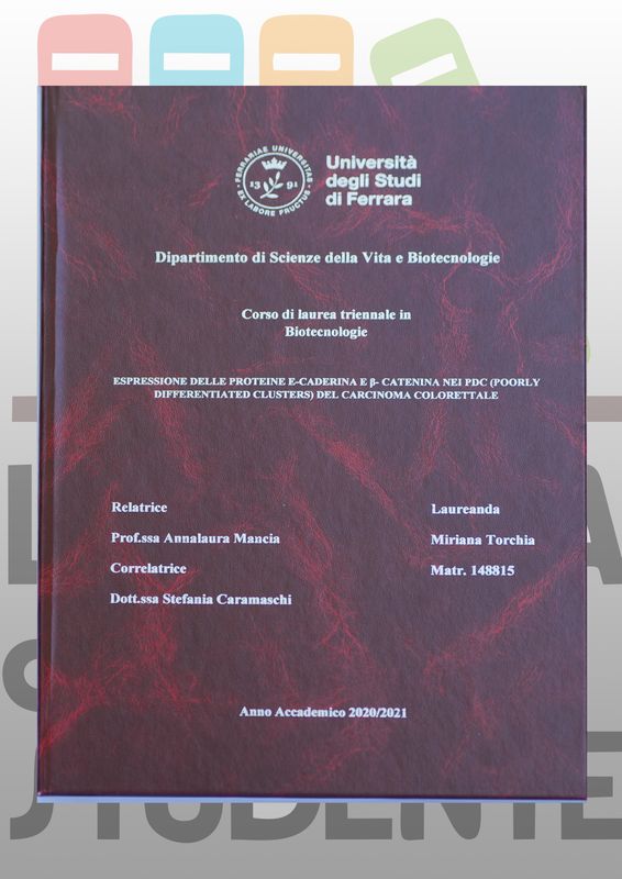 Rilegatura Tesi di Laurea BALADEK BORDO' stampa oro /argento