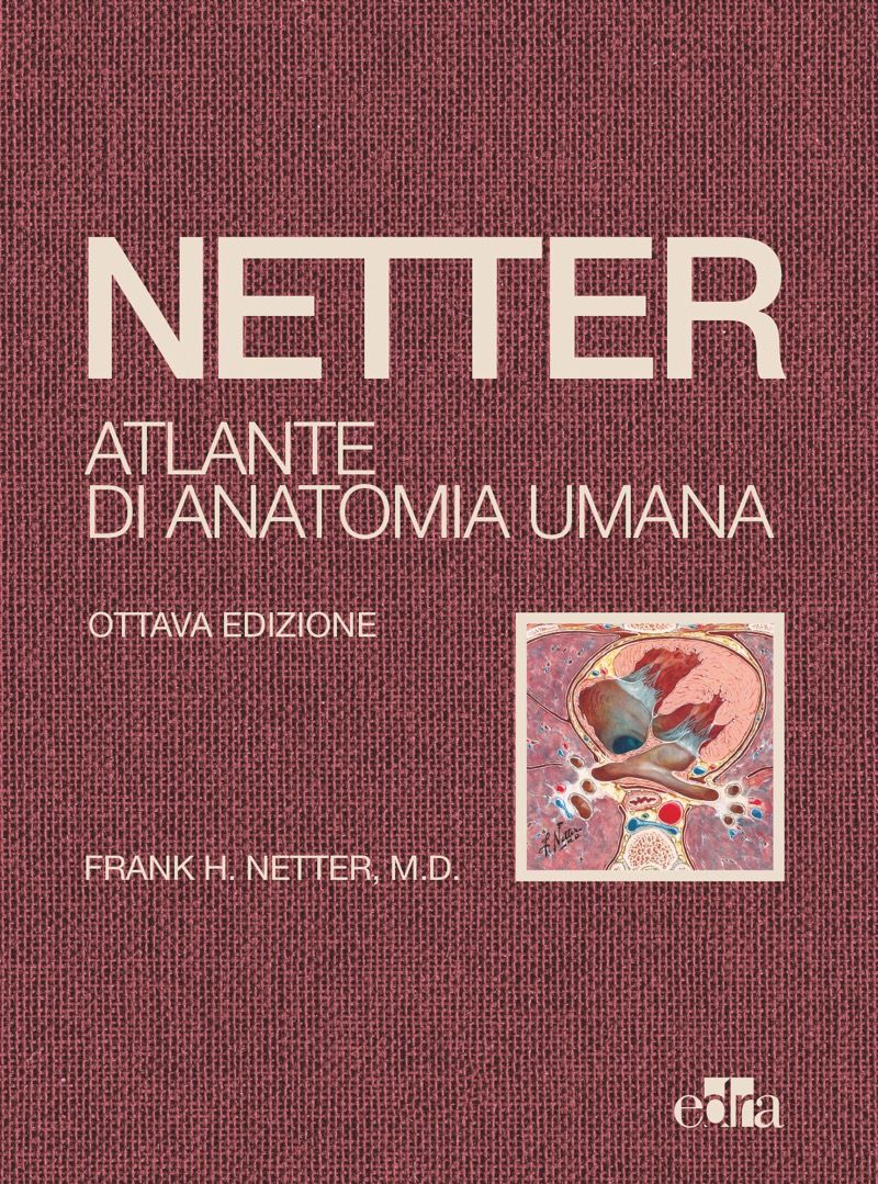 Netter - Atlante di Anatomia Umana ( Edizione 2022 . Formato Deluxe con Copertina Cartonata Telata )