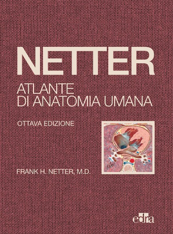 Netter - Atlante di Anatomia Umana ( Edizione 2022 . Formato Deluxe con Copertina Cartonata Telata )