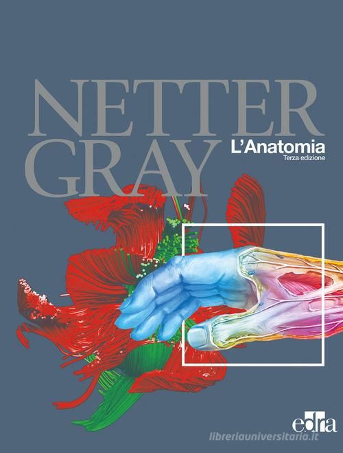 Netter Gray - L'anatomia: Anatomia del Gray-Atlante di anatomia umana di Netter