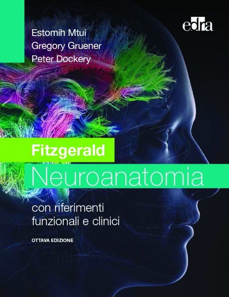 Fitzgerald - Neuroanatomia . Con riferimenti funzionali e clinici