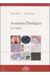 Ruco, Scarpa - Anatomia patologica , Le basi