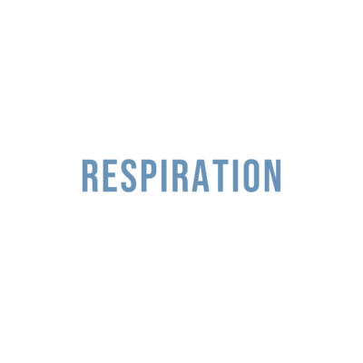 Respiration