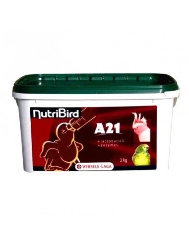 NutriBird A21 - 3 kg - Pappa da imbecco