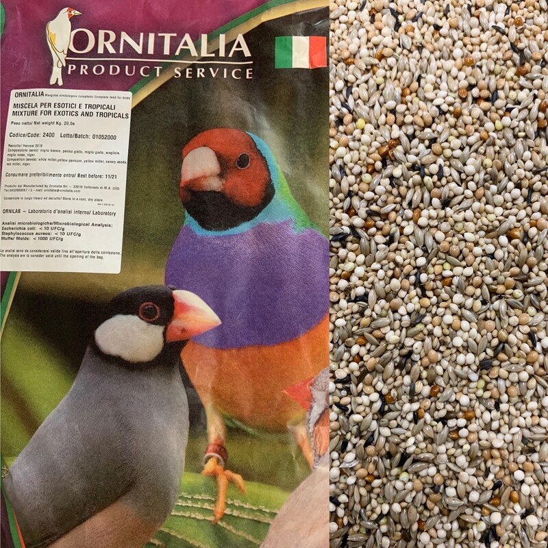 Miscela Esotica-Tropicale